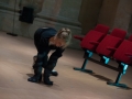 spectacle D'ASSISE